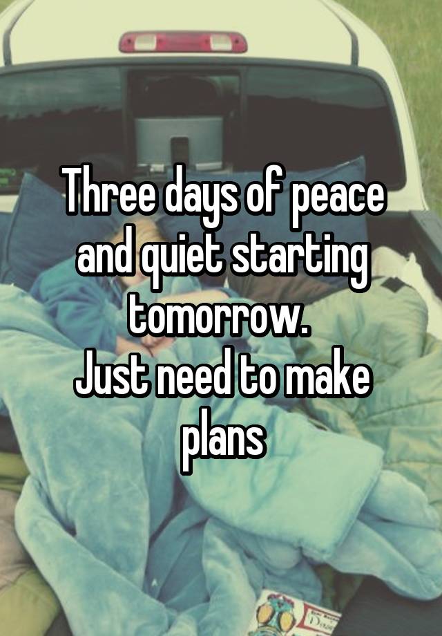 Three days of peace and quiet starting tomorrow. 
Just need to make plans