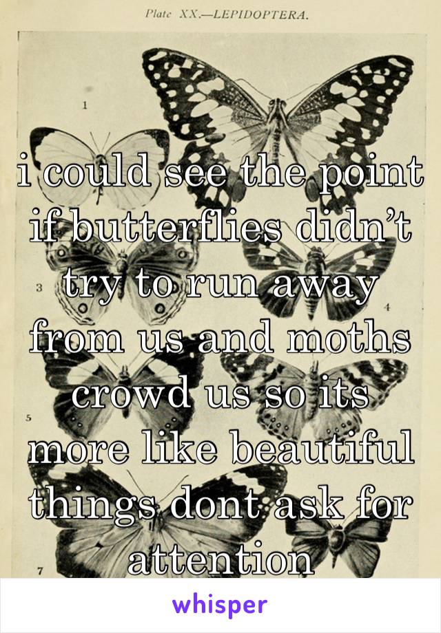 i could see the point if butterflies didn’t try to run away from us and moths crowd us so its more like beautiful things dont ask for attention 