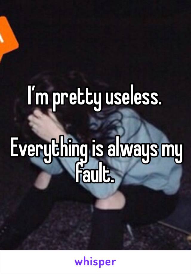 I’m pretty useless.

 Everything is always my fault. 