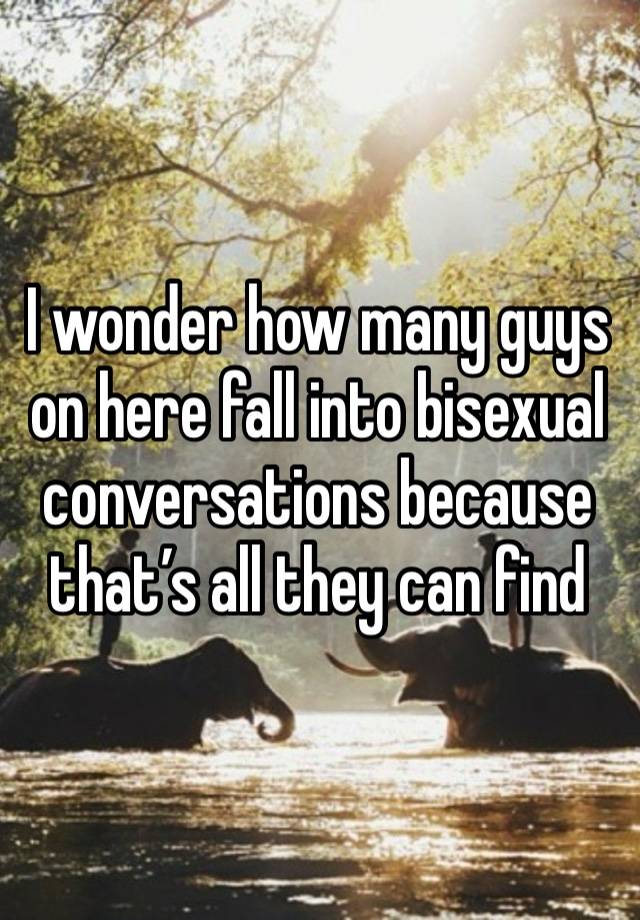 I wonder how many guys on here fall into bisexual conversations because that’s all they can find
