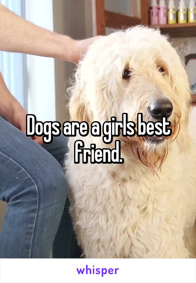 Dogs are a girls best friend.