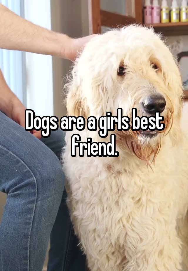 Dogs are a girls best friend.