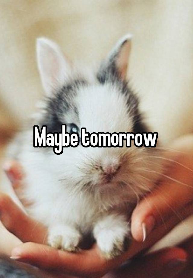 Maybe tomorrow 