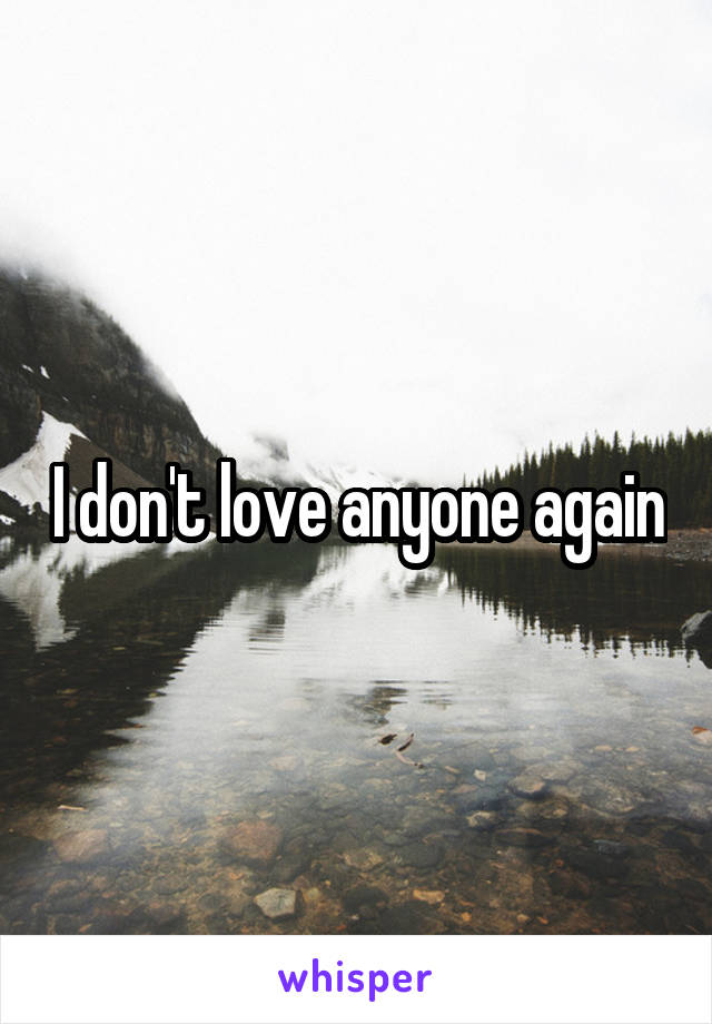 I don't love anyone again