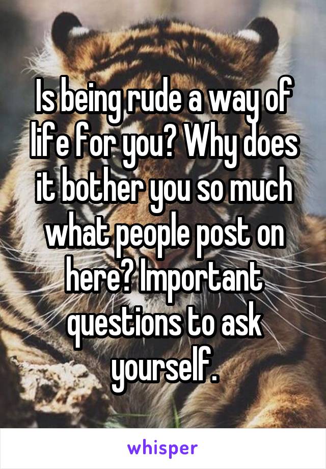 Is being rude a way of life for you? Why does it bother you so much what people post on here? Important questions to ask yourself.