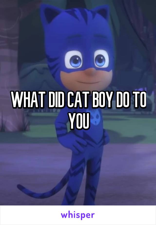 WHAT DID CAT BOY DO TO YOU