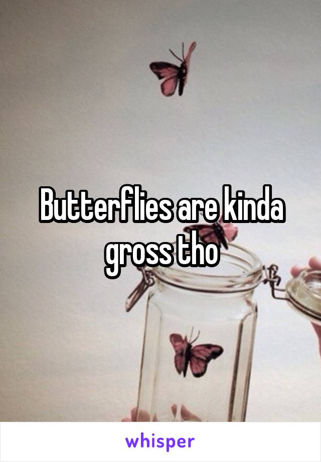 Butterflies are kinda gross tho