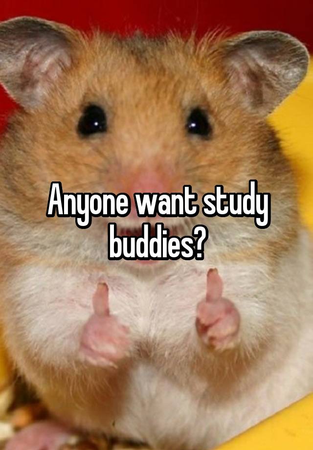 Anyone want study buddies?