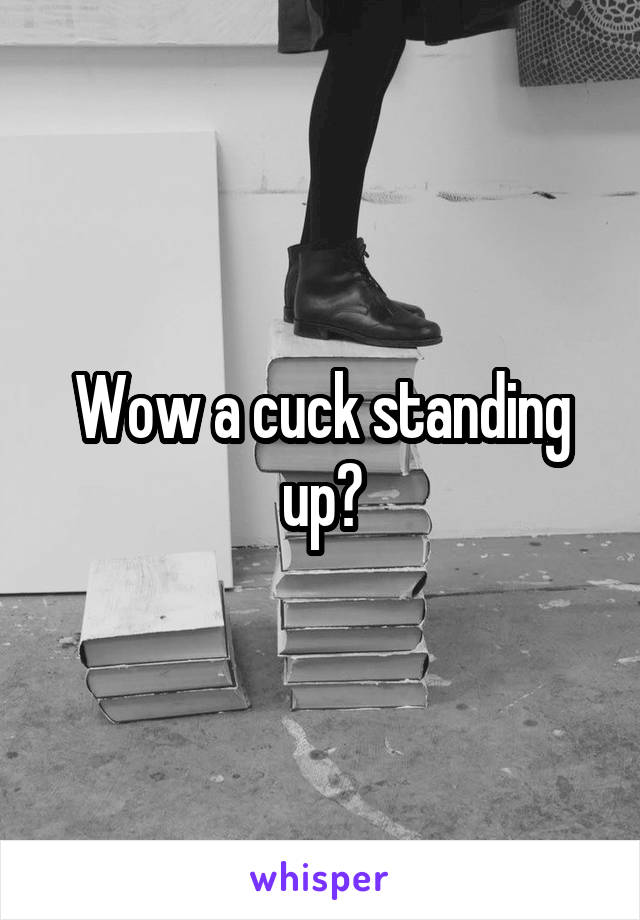 Wow a cuck standing up?