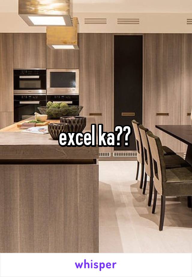 excel ka?? 