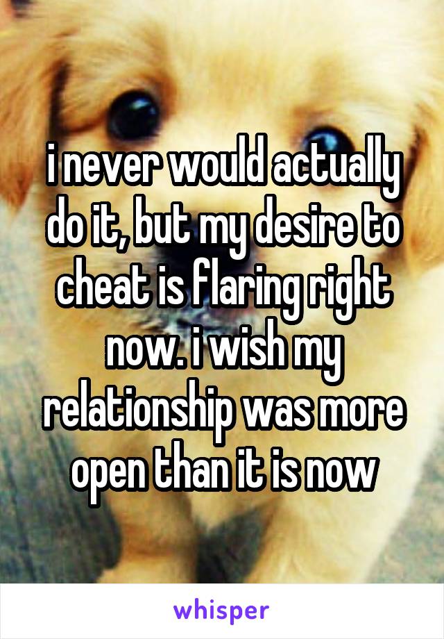 i never would actually do it, but my desire to cheat is flaring right now. i wish my relationship was more open than it is now