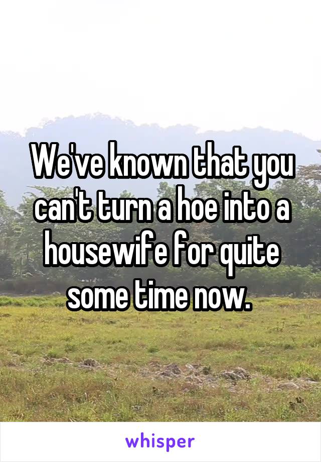 We've known that you can't turn a hoe into a housewife for quite some time now. 