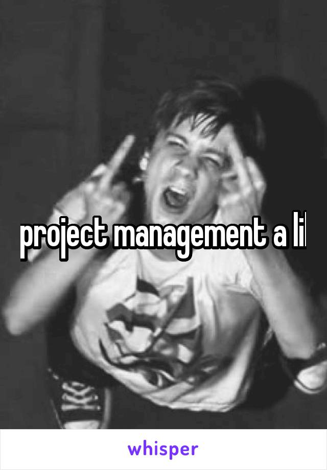 project management a lil