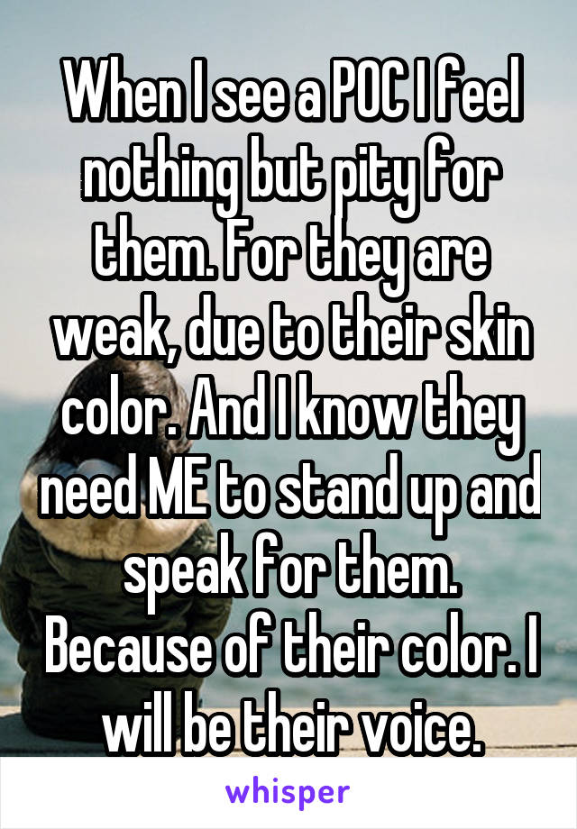 When I see a POC I feel nothing but pity for them. For they are weak, due to their skin color. And I know they need ME to stand up and speak for them. Because of their color. I will be their voice.