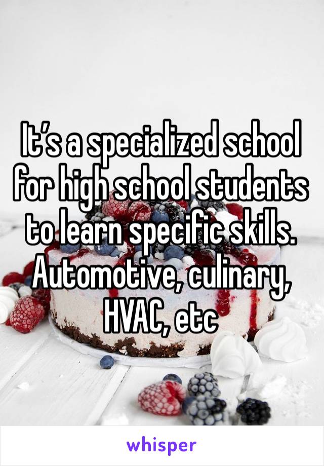 It’s a specialized school for high school students to learn specific skills. Automotive, culinary, HVAC, etc 