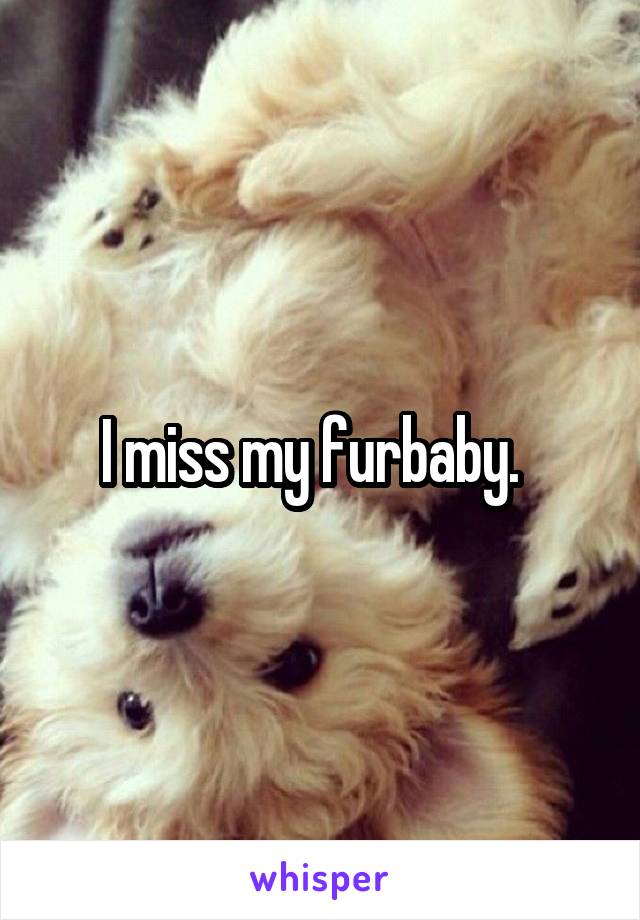 I miss my furbaby.  