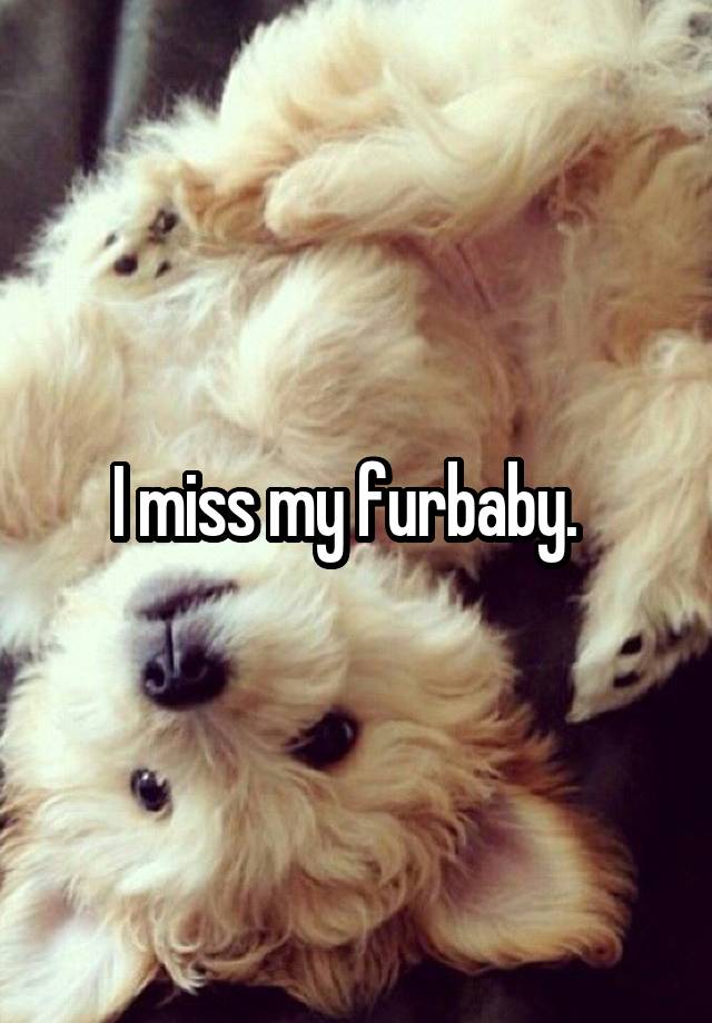 I miss my furbaby.  