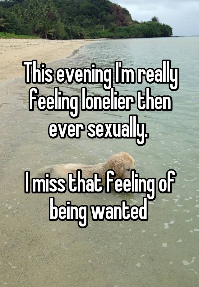 This evening I'm really feeling lonelier then ever sexually. 

I miss that feeling of being wanted 