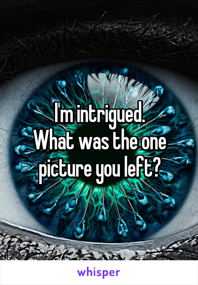 I'm intrigued.
What was the one picture you left?