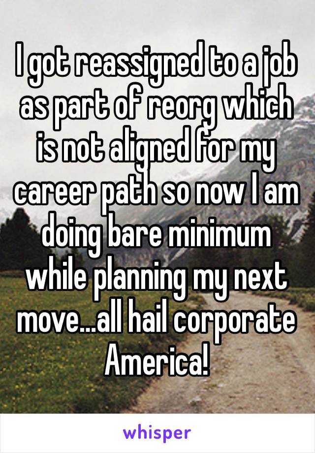 I got reassigned to a job as part of reorg which is not aligned for my career path so now I am doing bare minimum while planning my next move…all hail corporate America! 