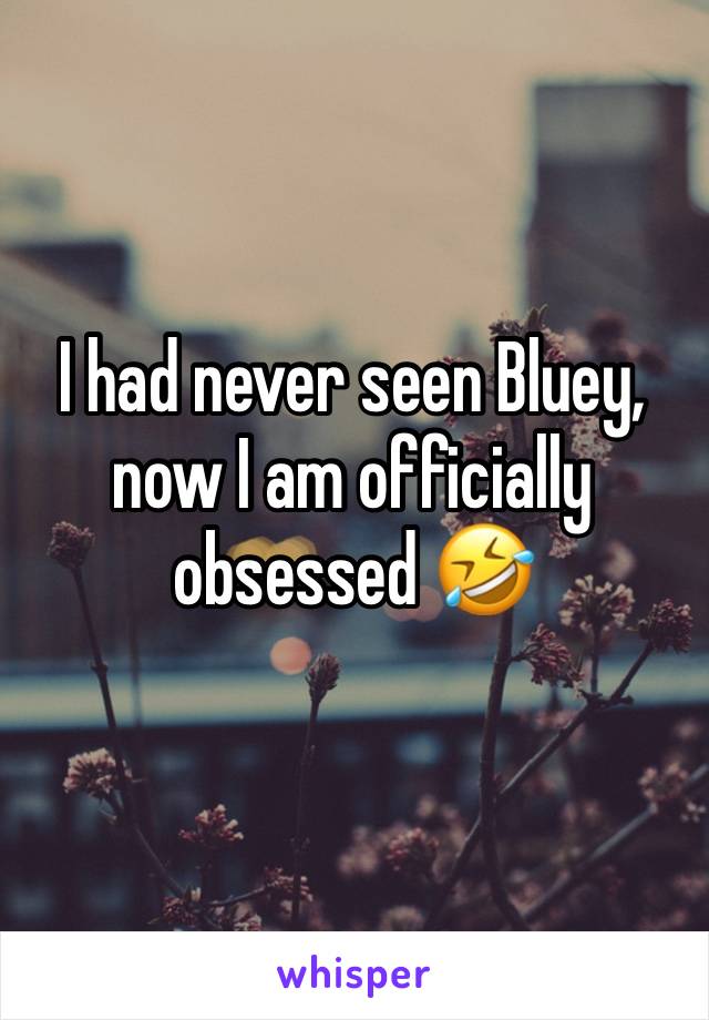 I had never seen Bluey,  now I am officially obsessed 🤣