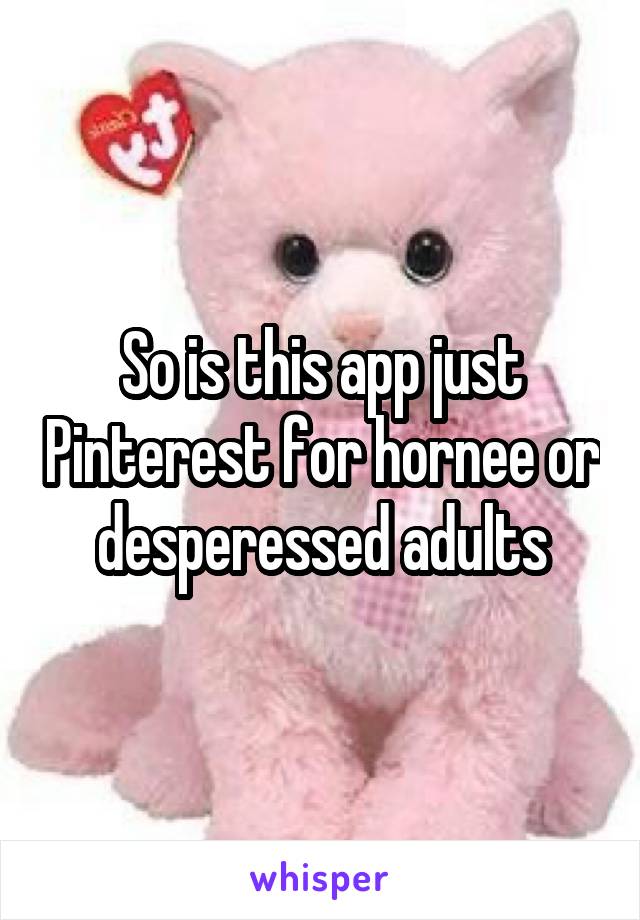 So is this app just Pinterest for hornee or desperessed adults