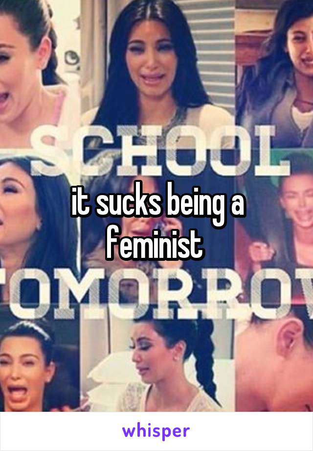 it sucks being a feminist 