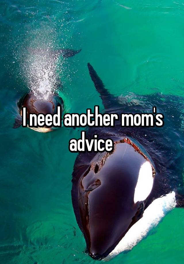 I need another mom's advice 