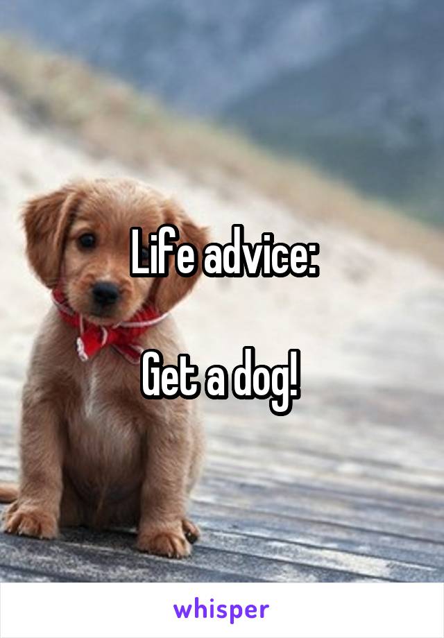 Life advice:

Get a dog! 