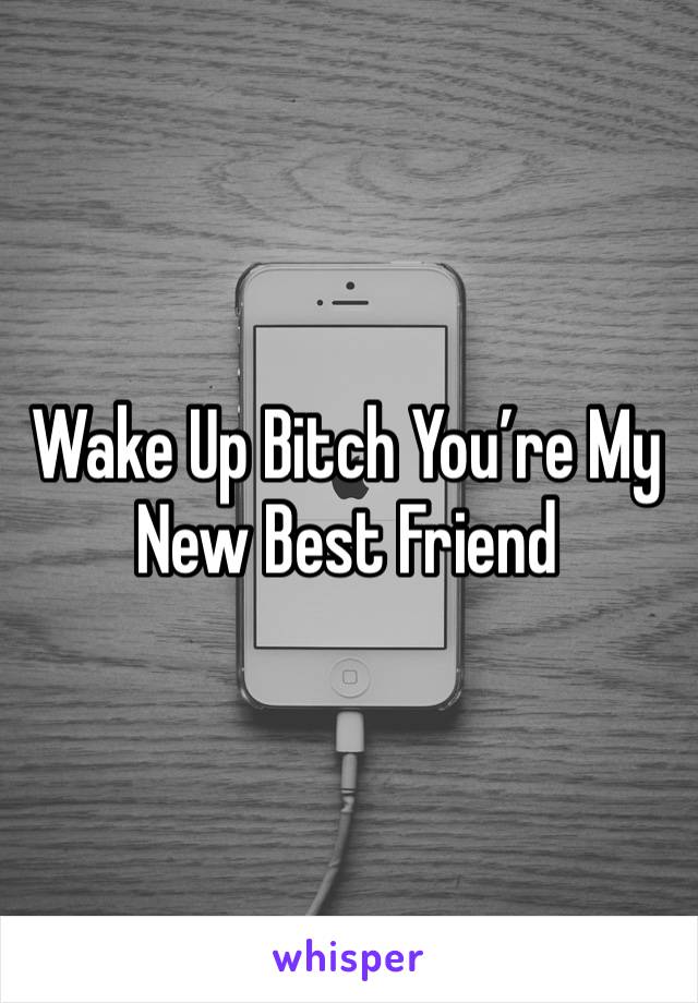 Wake Up Bitch You’re My New Best Friend 