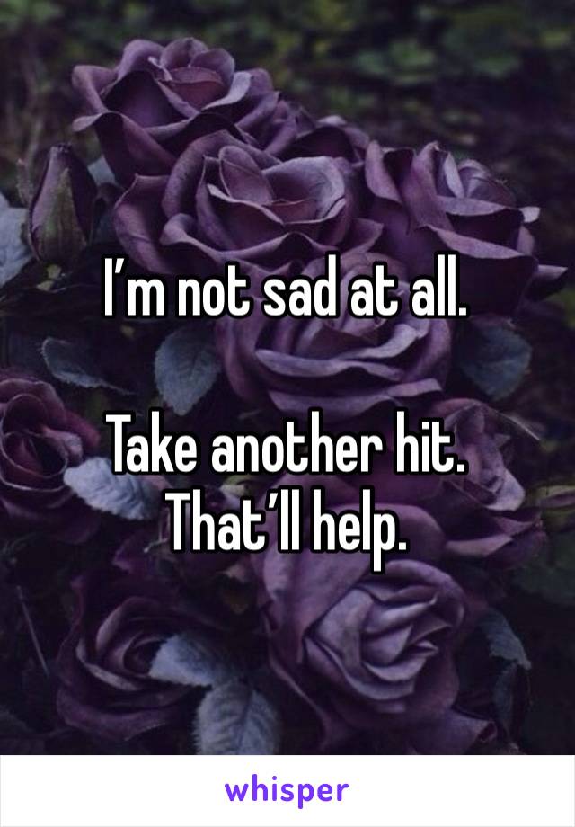 I’m not sad at all. 

Take another hit.
That’ll help.