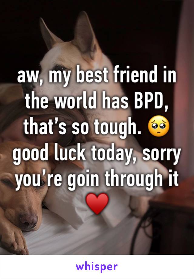 aw, my best friend in the world has BPD, that’s so tough. 🥺 good luck today, sorry you’re goin through it ♥️