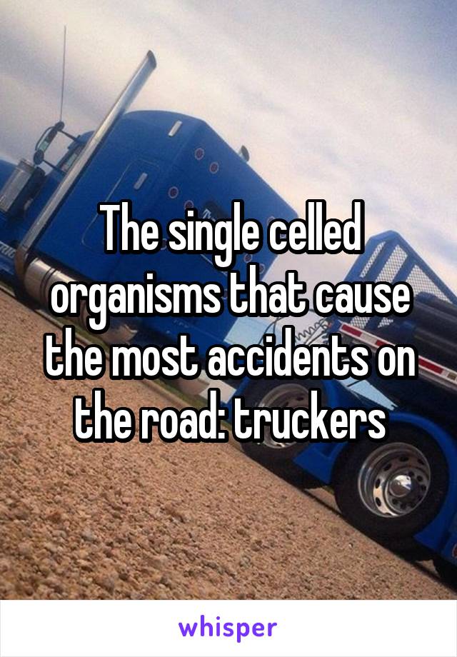 The single celled organisms that cause the most accidents on the road: truckers