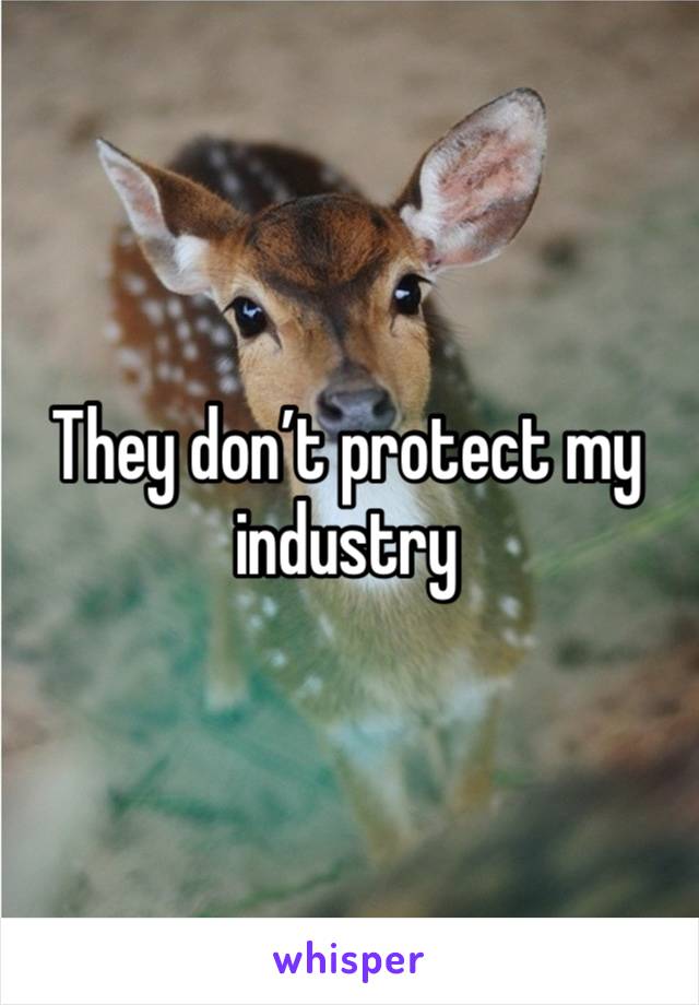 They don’t protect my industry 