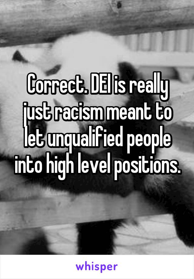 Correct. DEI is really just racism meant to let unqualified people into high level positions. 