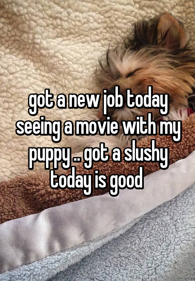 got a new job today seeing a movie with my puppy .. got a slushy today is good 