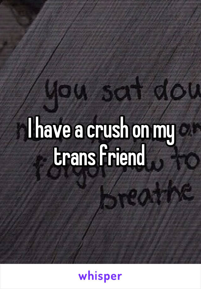 I have a crush on my trans friend 