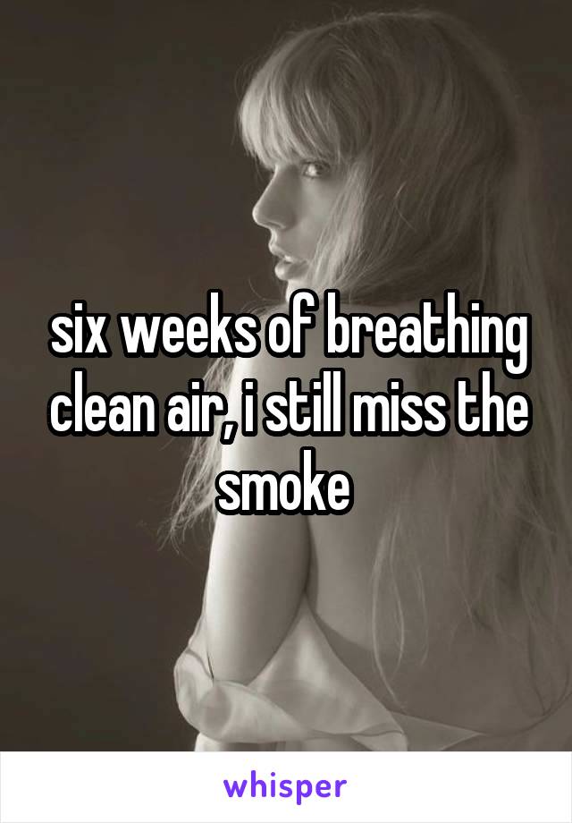 six weeks of breathing clean air, i still miss the smoke 