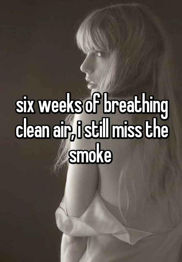 six weeks of breathing clean air, i still miss the smoke 