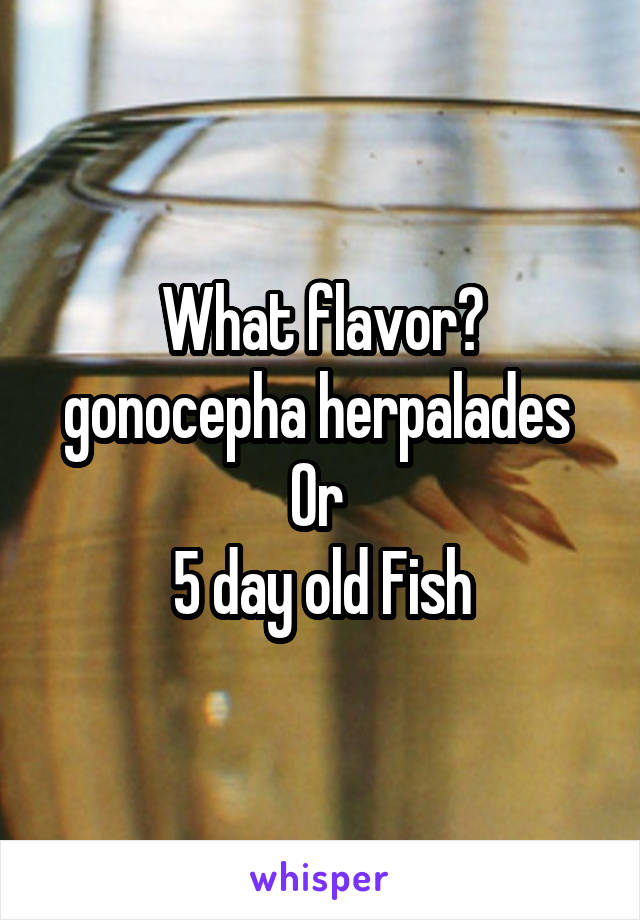 What flavor? gonocepha herpalades 
Or 
5 day old Fish