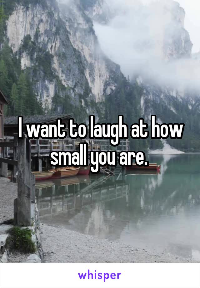 I want to laugh at how small you are. 