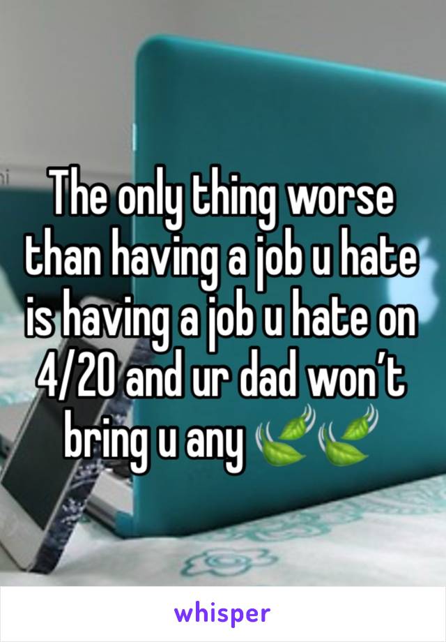 The only thing worse than having a job u hate is having a job u hate on 4/20 and ur dad won’t bring u any 🍃🍃