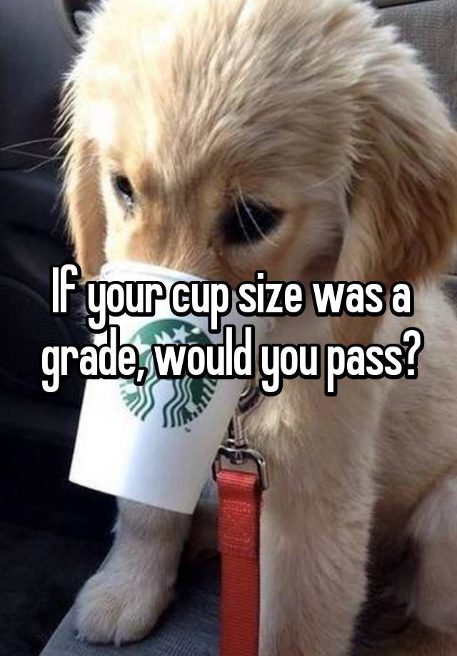 If your cup size was a grade, would you pass?