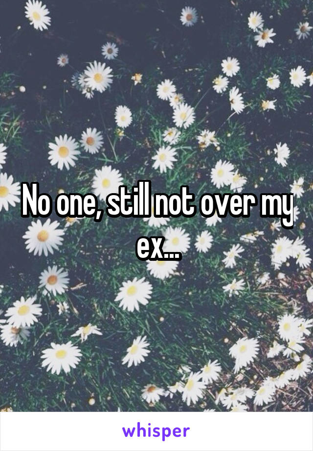 No one, still not over my ex...