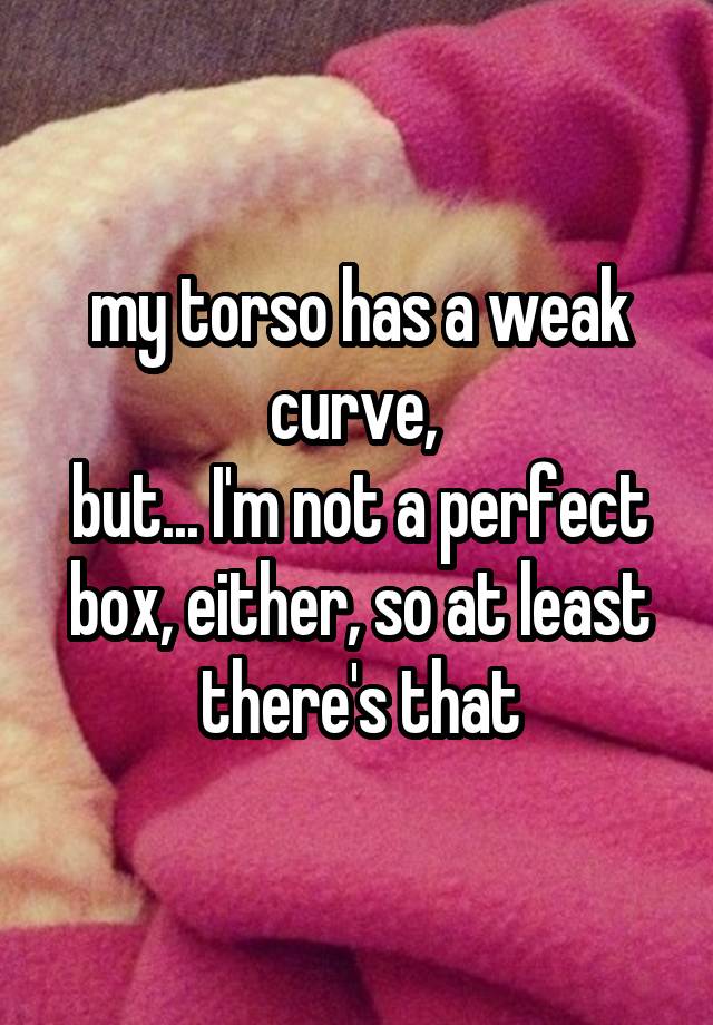 my torso has a weak curve, 
but... I'm not a perfect box, either, so at least there's that