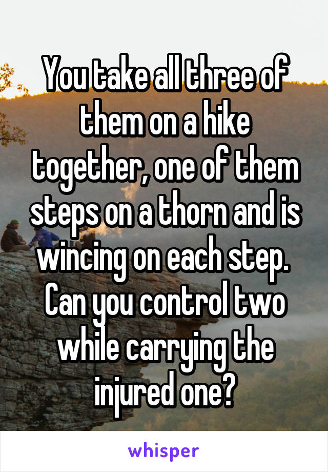 You take all three of them on a hike together, one of them steps on a thorn and is wincing on each step. 
Can you control two while carrying the injured one?