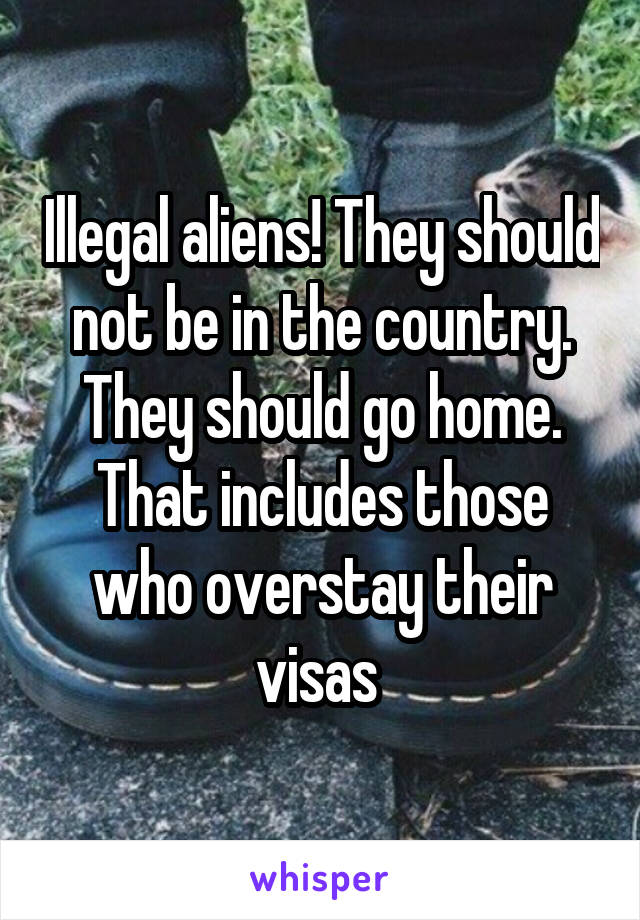 Illegal aliens! They should not be in the country. They should go home. That includes those who overstay their visas 