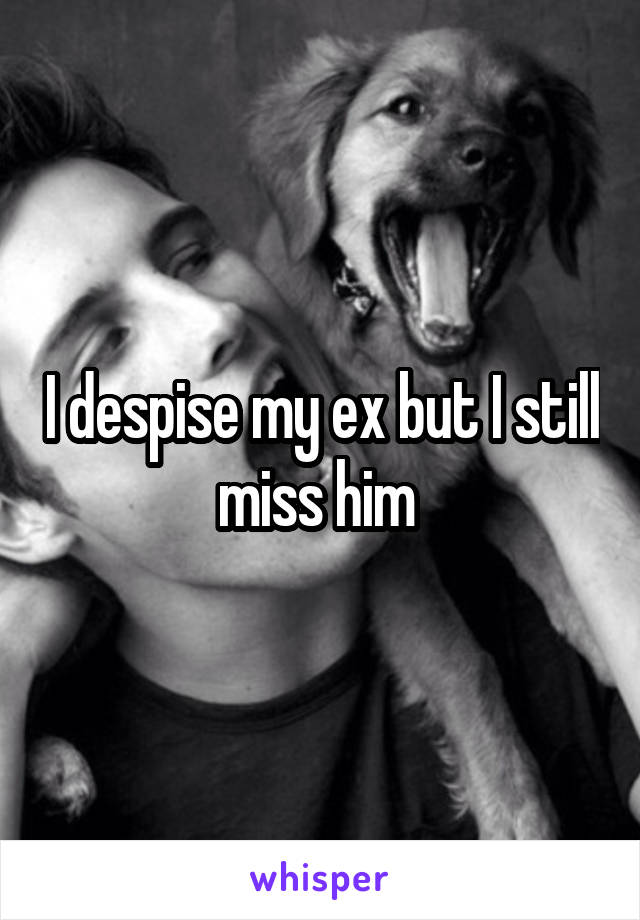 I despise my ex but I still miss him 