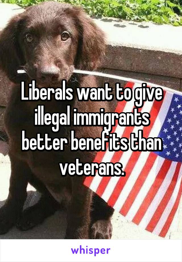 Liberals want to give illegal immigrants better benefits than veterans.
