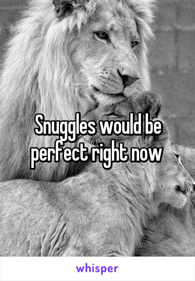 Snuggles would be perfect right now 